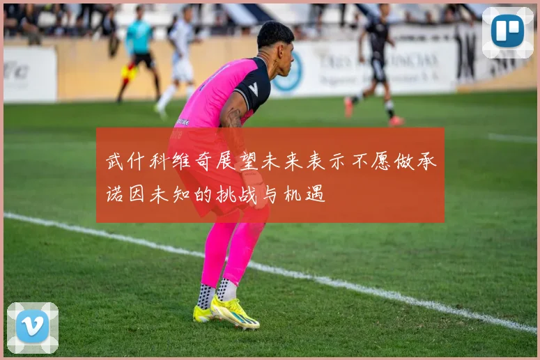 武什科维奇展望未来表示不愿做承诺因未知的挑战与机遇