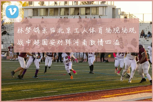 林梦鸽亲临北京工人体育场现场观战中超国安对阵河南激情四溢