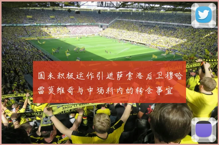 国米积极运作引进萨索洛后卫穆哈雷莫维奇与中场科内的转会事宜