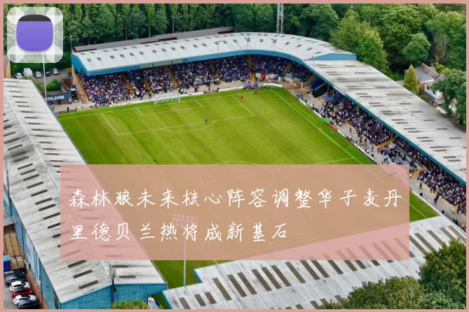 森林狼未来核心阵容调整华子麦丹里德贝兰热将成新基石